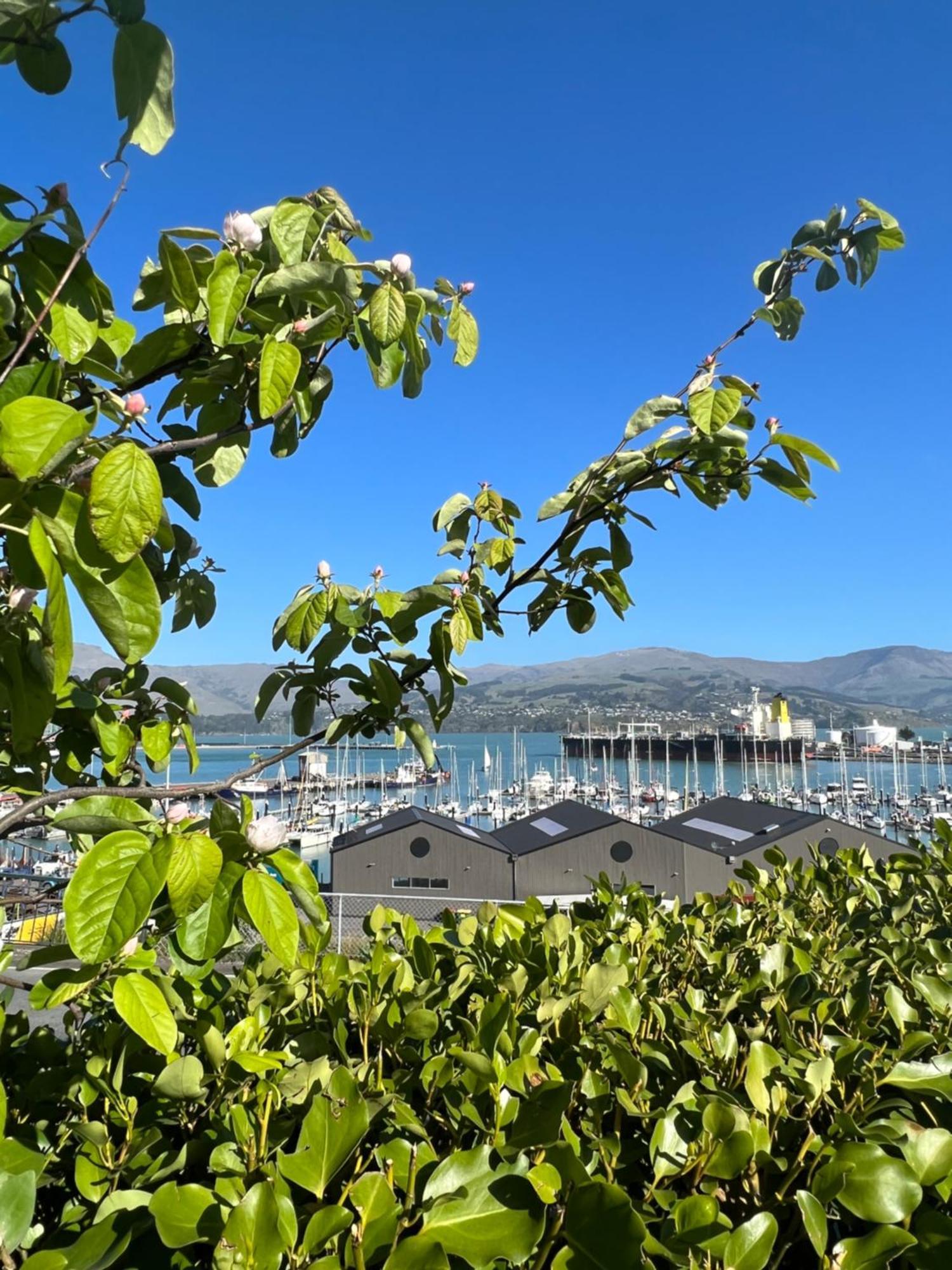 Sea Views In Luxury At Lyttelton Boatique House - 14 Km From Christchurch Eksteriør bilde
