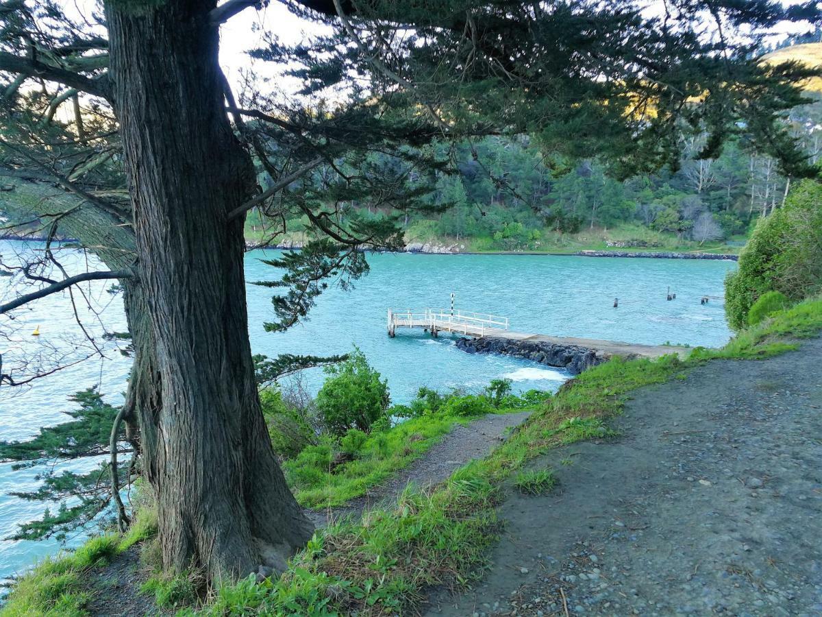 Sea Views In Luxury At Lyttelton Boatique House - 14 Km From Christchurch Eksteriør bilde